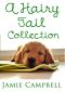 [A Hairy Tail 01] • Hairy Tail Collection